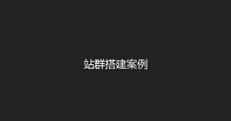 站群搭建案例 封面图
